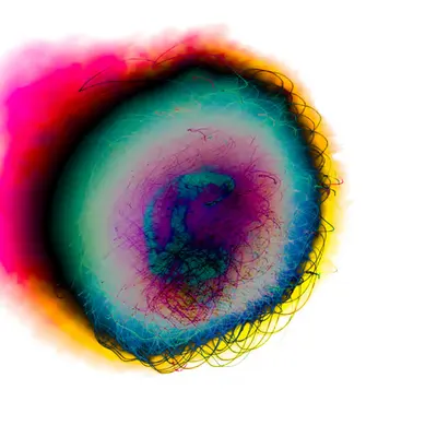 Ojo