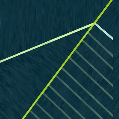 Tamed Lines One (Diptych)