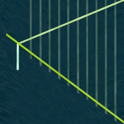 Tamed Lines Two (Diptych)