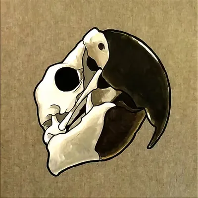 Parrot Skull