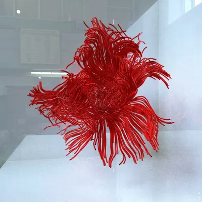 Alien Lifeform