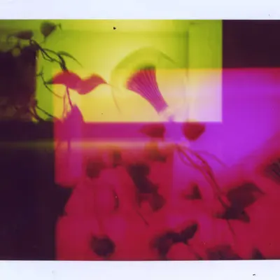 Additive Colors Plants