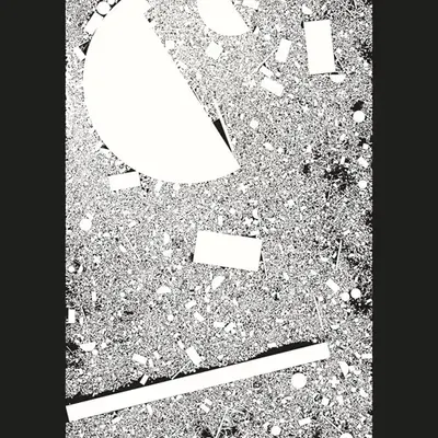 Microplastics 13
