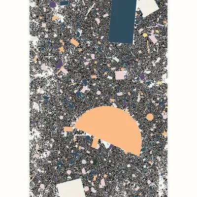 Microplastics 17