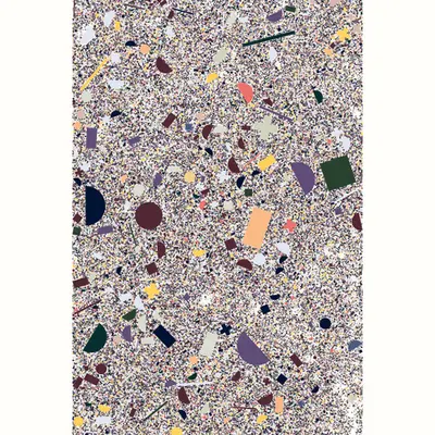 Microplastics 29