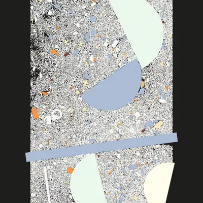 Microplastics 19