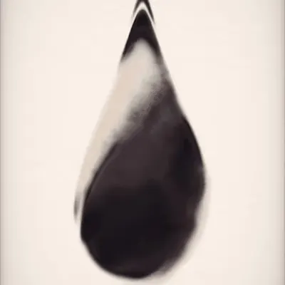 Drop #54
