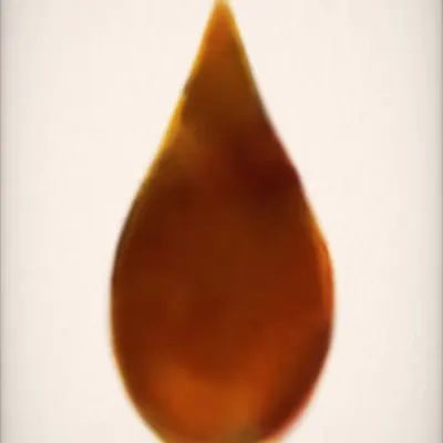 Drop #19