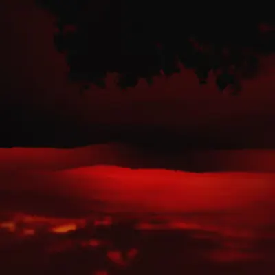 Diaries #30