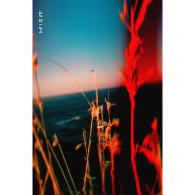 Diaries #62