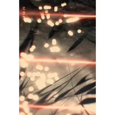 Diaries #66