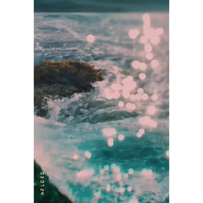 Diaries #73