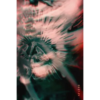 Diaries #75