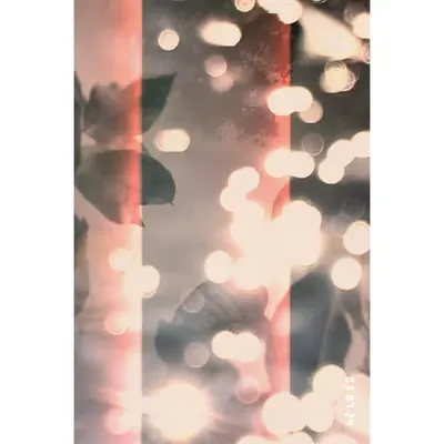 Diaries #76