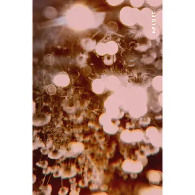 Diaries #80