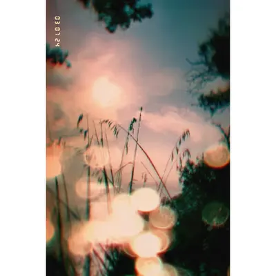 Diaries #81