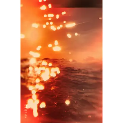 Diaries #82