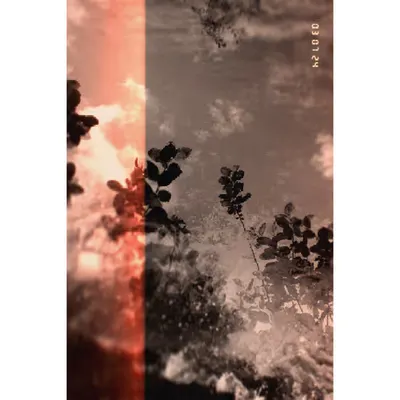 Diaries #83