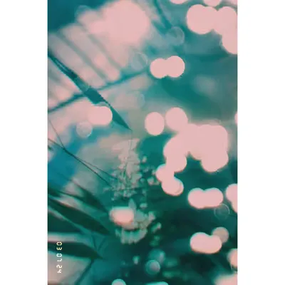 Diaries #84