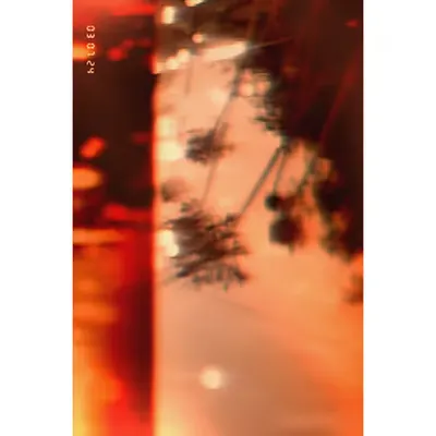 Diaries #85