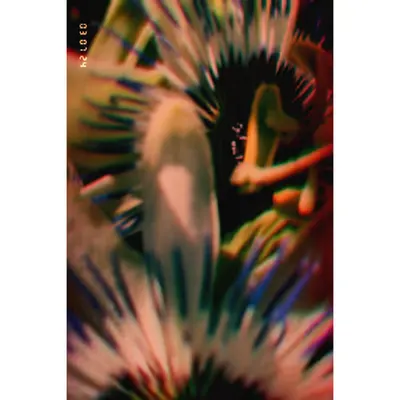 Diaries #90