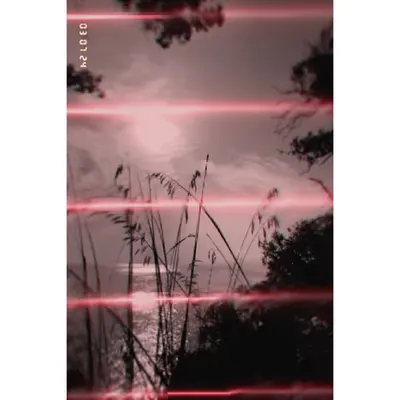 Diaries #95