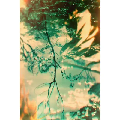Diaries #96