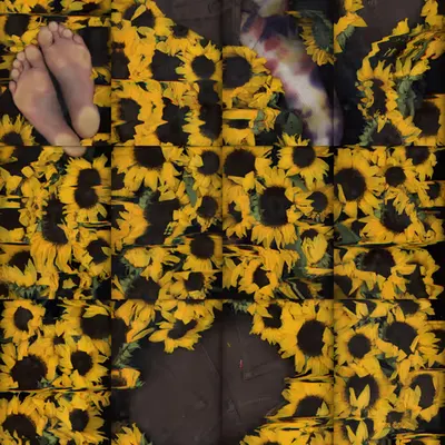 Saturday, September 20, 2025 at 6:27 PM (Sunflowers)