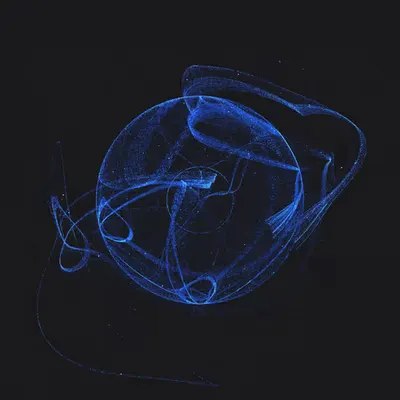 Entangled #159