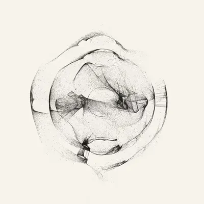 Entangled #191