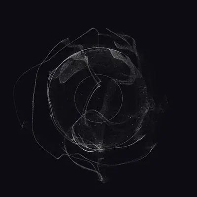 Entangled #198