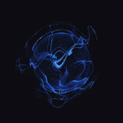 Entangled #207