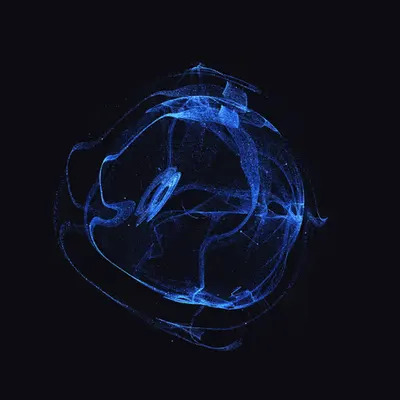 Entangled #215