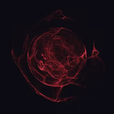 Entangled #5