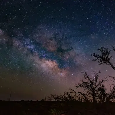 Desert Expanse
