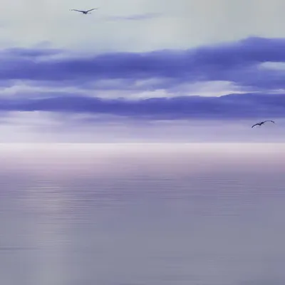 #45 Serene Skies