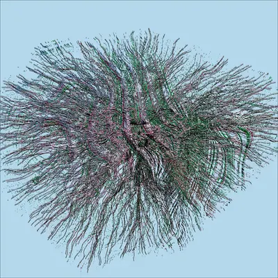 Feather Head #7