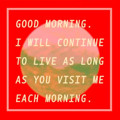 Good Morning 23