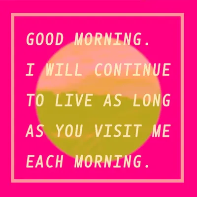 Good Morning 24