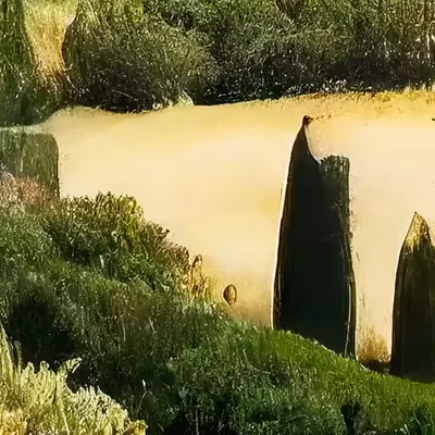 occitanie.07bt
