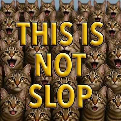 THIS IS NOT SLOP