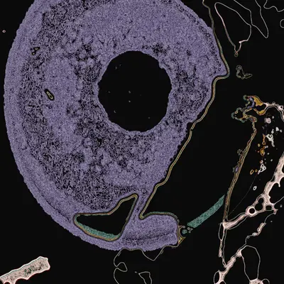ib11N3lu923Dm
