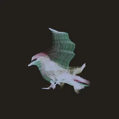 Bird" : Through Tubes, We Now Are