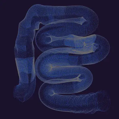 Tubes II: Through Tubes, We Now Are
