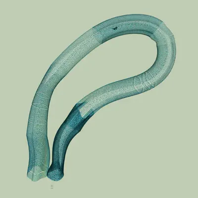 Tubes III: Through Tubes, We Now Are