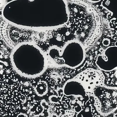 Water Studies #11