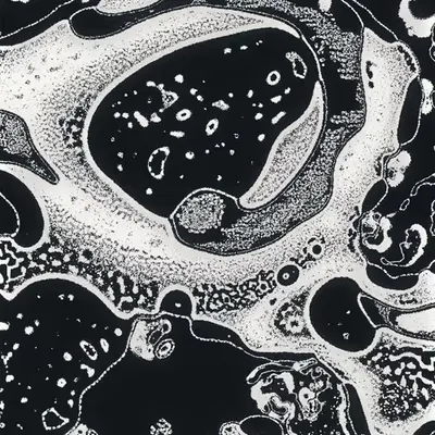 Water Studies #12