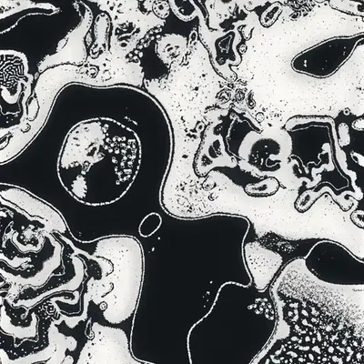 Water Studies #13
