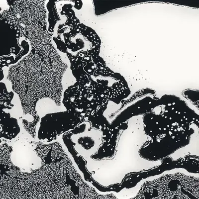 Water Studies #15