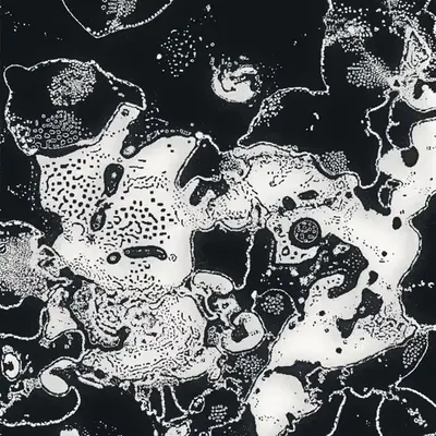 Water Studies #17
